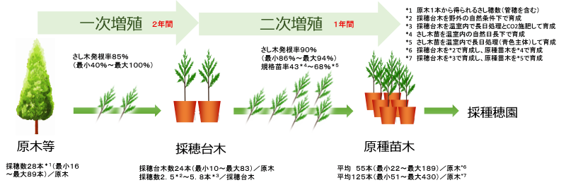 原種苗木増殖方法の図