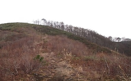 無立木地の写真