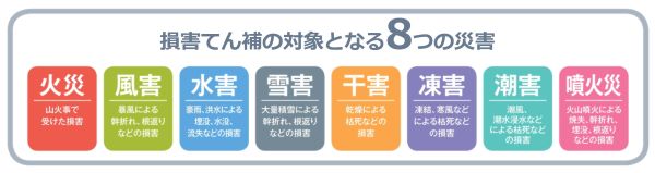 保険の対象となる8つの森林災害の図