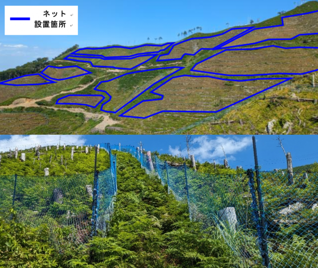 契約地内のシカ害防護柵の配置状況の写真