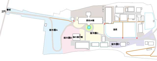 樹木園位置図