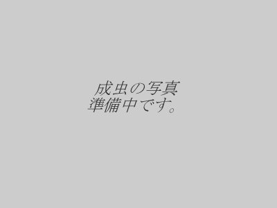 ""