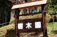 樹木園看板