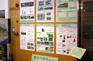 最近の研究から