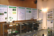 害虫に関する展示