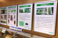 九州地域の主な樹病害