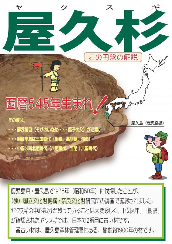 屋久杉の説明