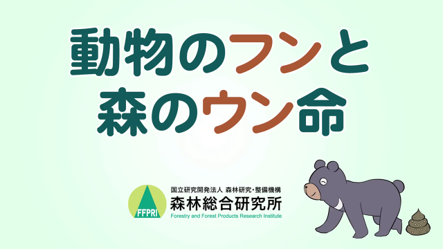 動物のフンと森のウン命
