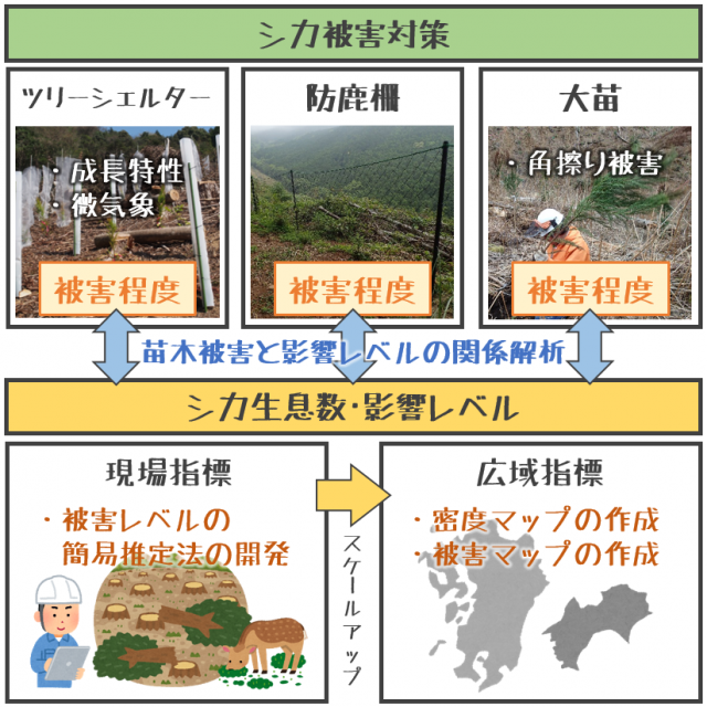 シカ図