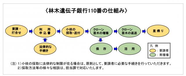 林木遺伝子銀行110番の仕組み