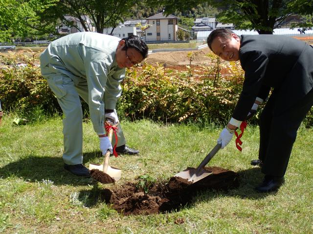 麻生原のキンモクセイ1