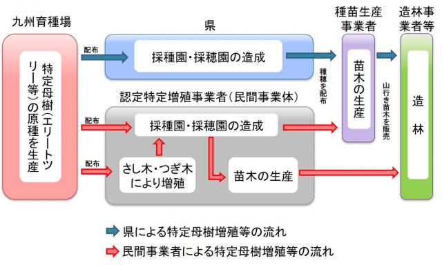 原種苗木の普及体制（Ver.九州）