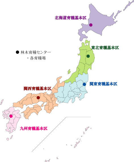育種基本区