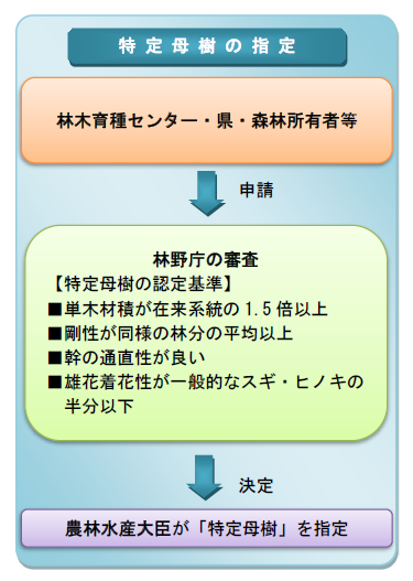特定母樹の指定