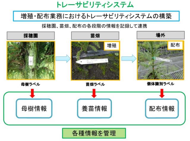 トレサ説明資料