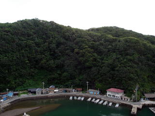 20060712_ヒトツバタゴ_鰐浦