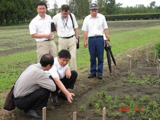 200600831_中国湖北省_苗畑1