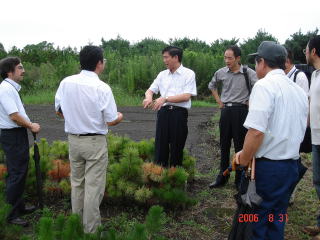 200600831_中国湖北省_苗畑2