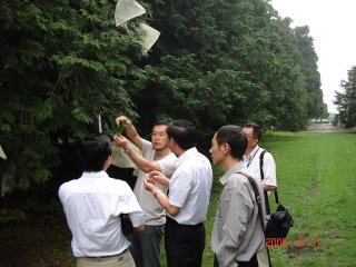 200600831_中国湖北省_ヒノキ交配園