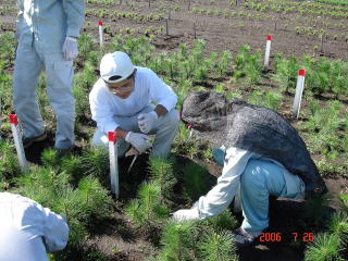 20060831_宮崎県研修_接種
