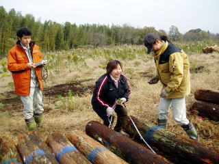 20061130_材質調査_ヤング率