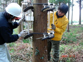 20070205_枝打ち機_取り付け