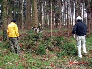 20070205_枝打ち機_枝