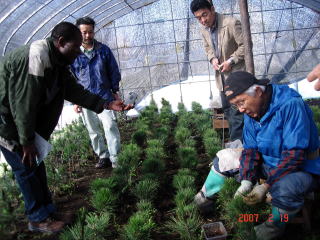 20070219_ブルキナファソ_ハウス1