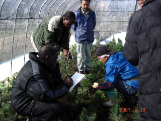 20070219_ブルキナファソ_ハウス2