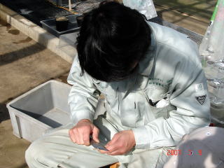 20070307_対馬_くさび形