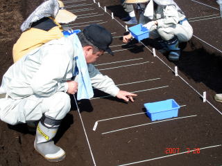 20070328_まき付け_まき付け