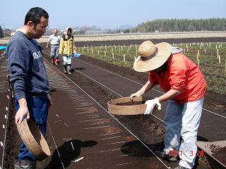 20070328_まき付け_覆土