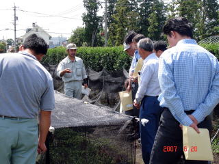 20070620_肝属_苗畑_1