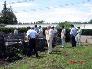 20070620_肝属_苗畑_2