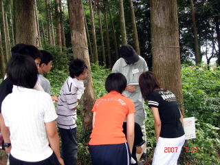 2007021_柏陵_ピロディン