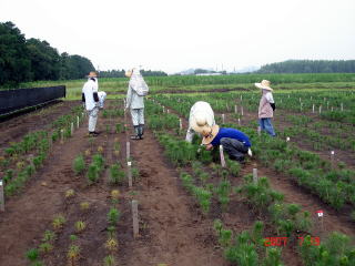 20070725_接種_合同接種1