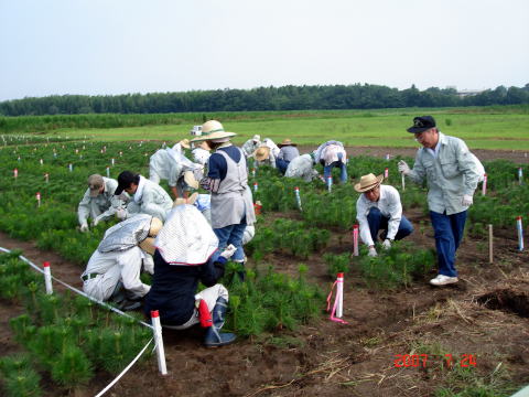 20070725_接種_接種24日