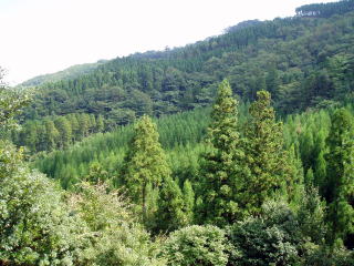 20070914_検定林_外観