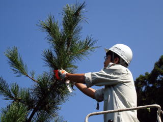 20071026_種子_フライヤー