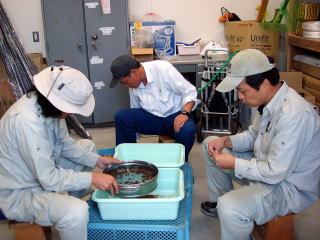 20071026_種子_ふるい