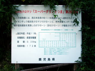 20071026_種子_看板