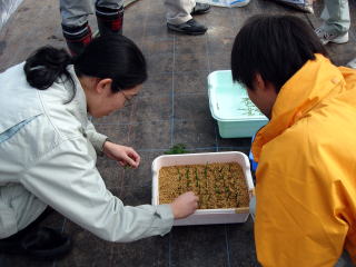 20071220_技術研修_マイクロカッティング