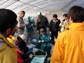 20071220_技術研修_さし木説明
