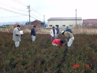 20080123_苗畑_審査の様子