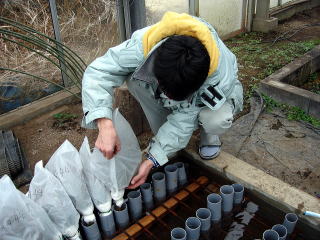 20080214_花粉_水桶