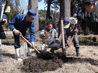20080315_納池_植樹の様子