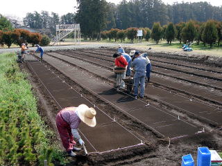 20080325_まきつけ_うねあげ
