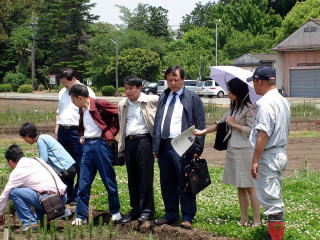 20080521_中国病虫害_苗畑