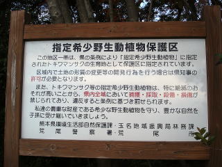 20080626_トキワマンサク_看板