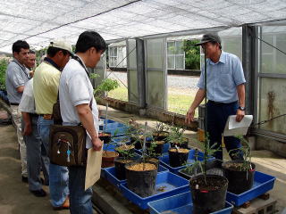 20080822_大分_温室